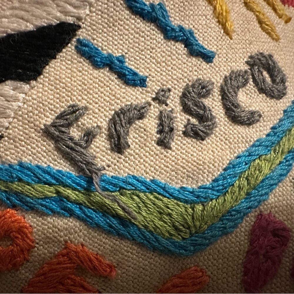 Rare Catstudio Outer Banks Embroidered Pillow 100% Organic Cotton - Picture 3 of 12